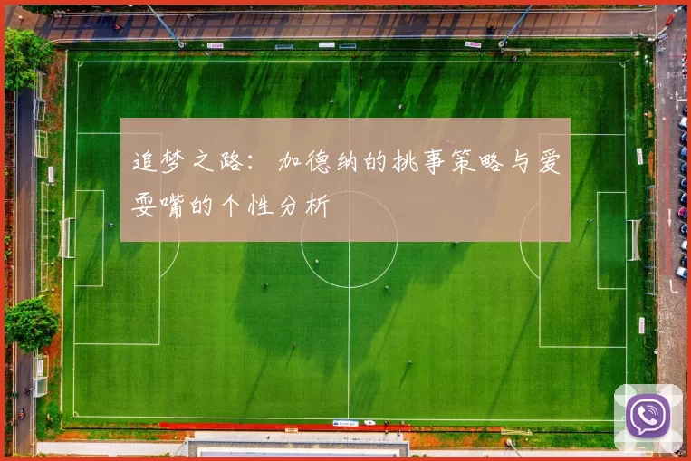 追梦之路：加德纳的挑事策略与爱耍嘴的个性分析